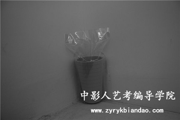 摄影摄像