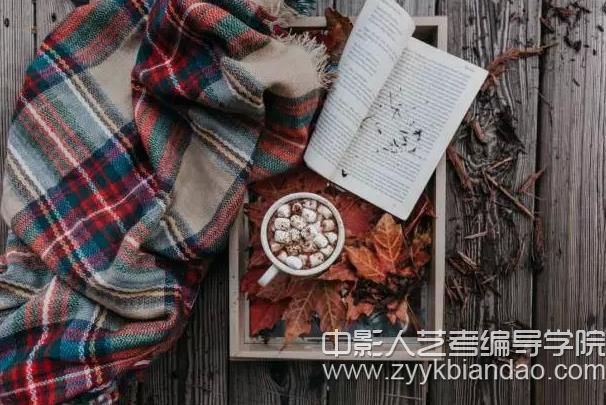 编导面试.jpg